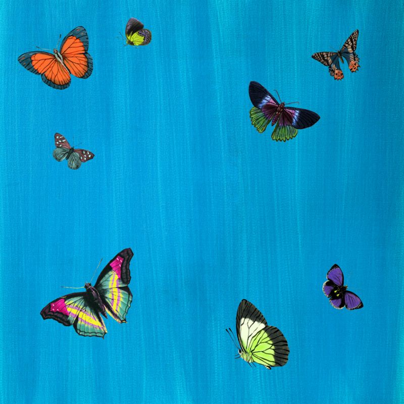 Flutter F