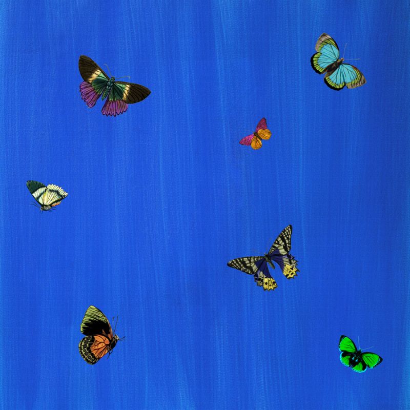 Flutter I