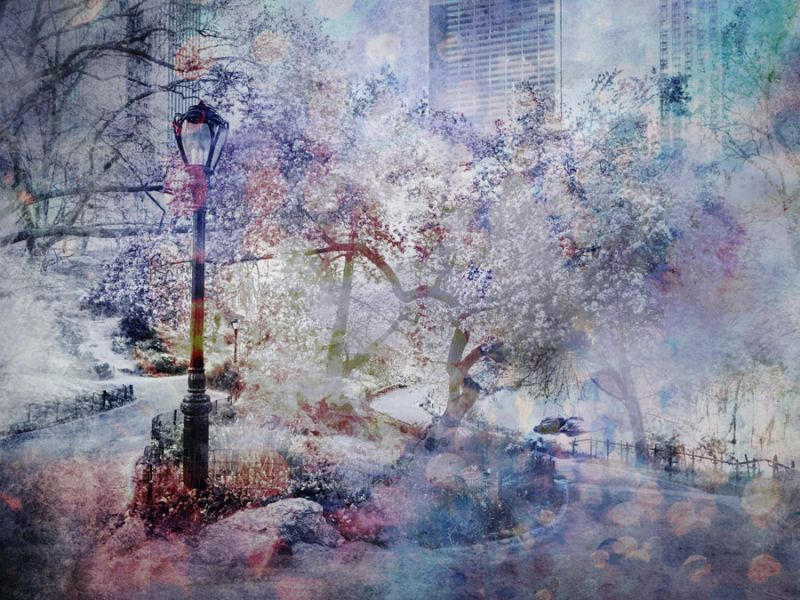 Dazzling Central Park
