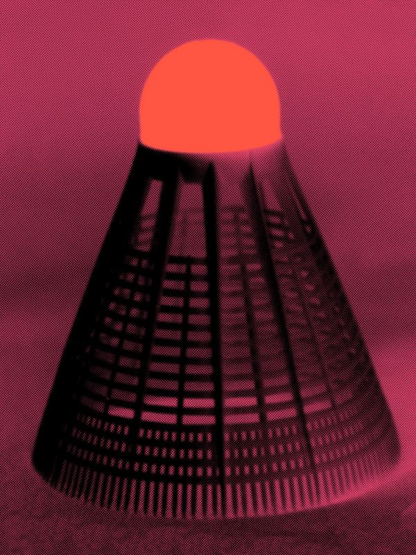 Shuttlecock