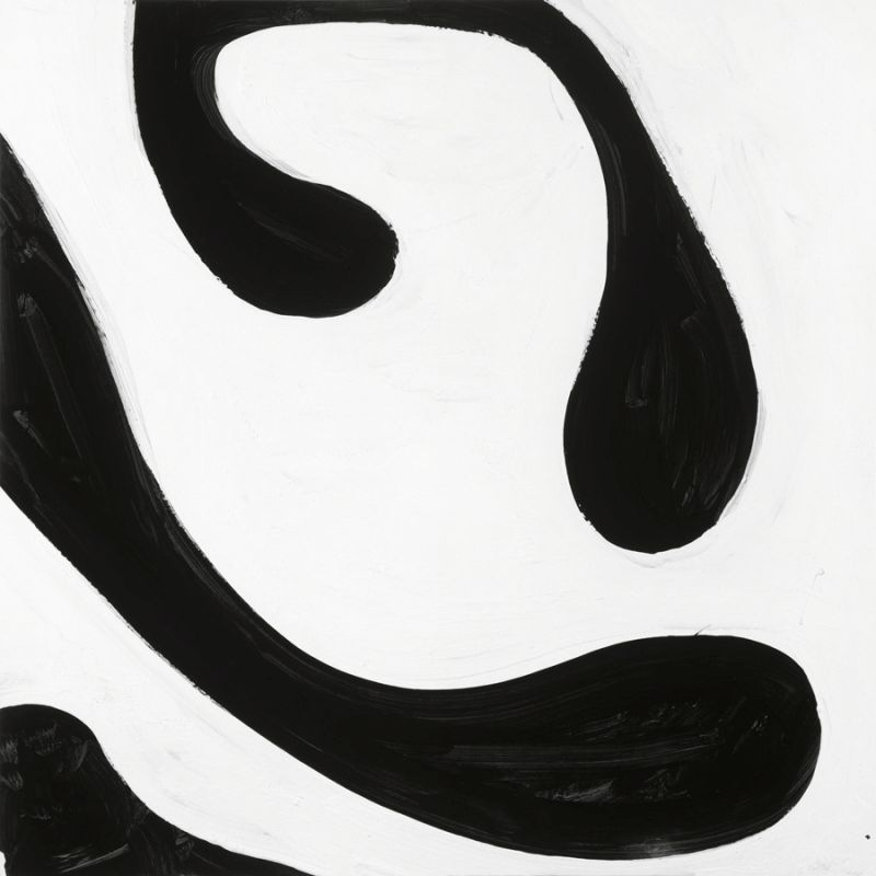Black and White D