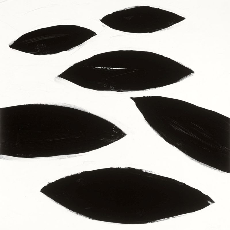 Black and White I