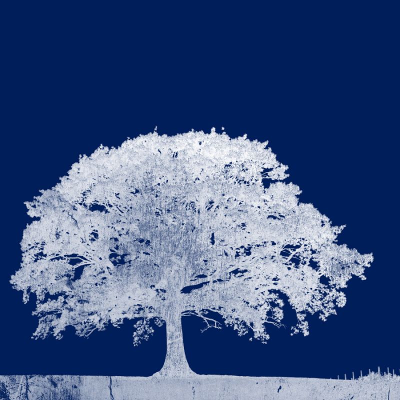 Screened Tree L