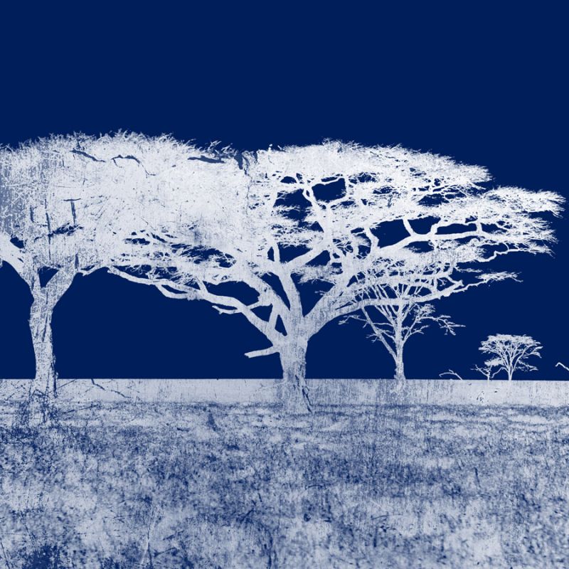 Screened Tree N