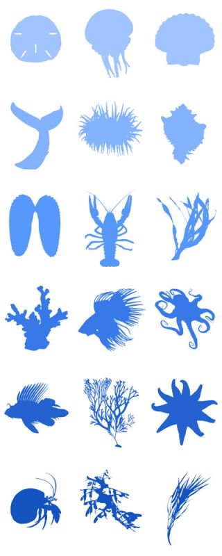 Water World C