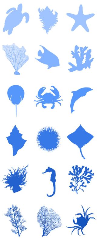 Water World D