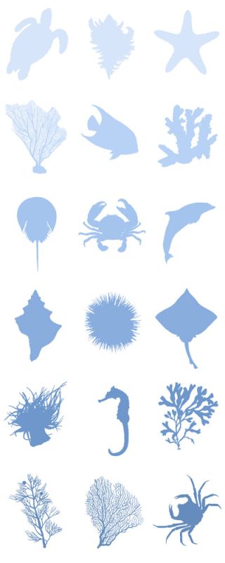 Water World F