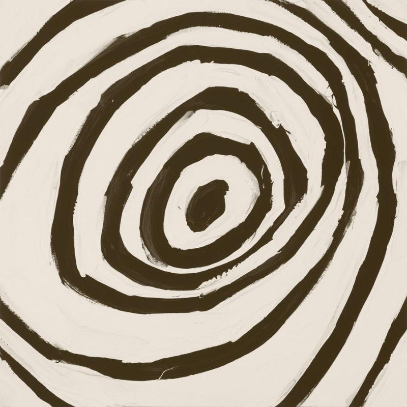 Sepia L