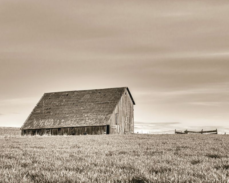 Abandoned Barn 8