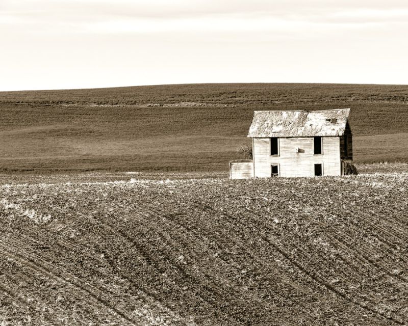 Abandoned House