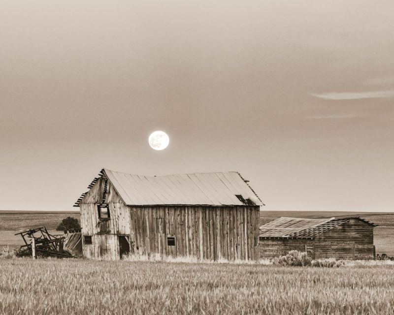 Full Moon Rising