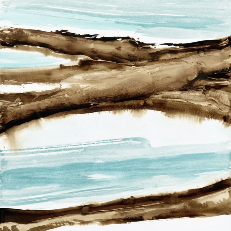 Driftwood 1