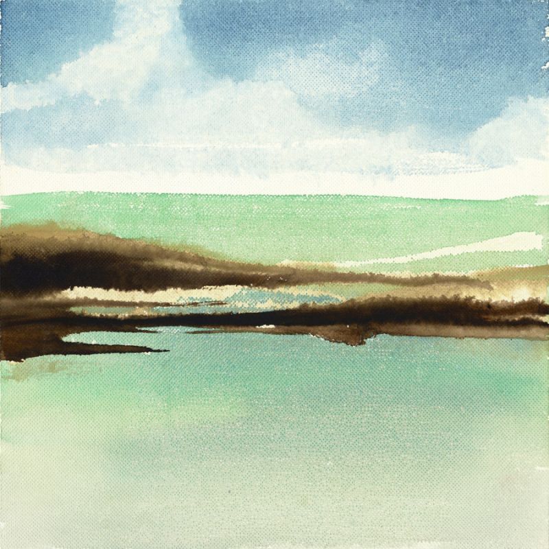 Driftwood 8