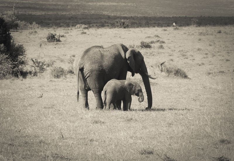 Big & Small