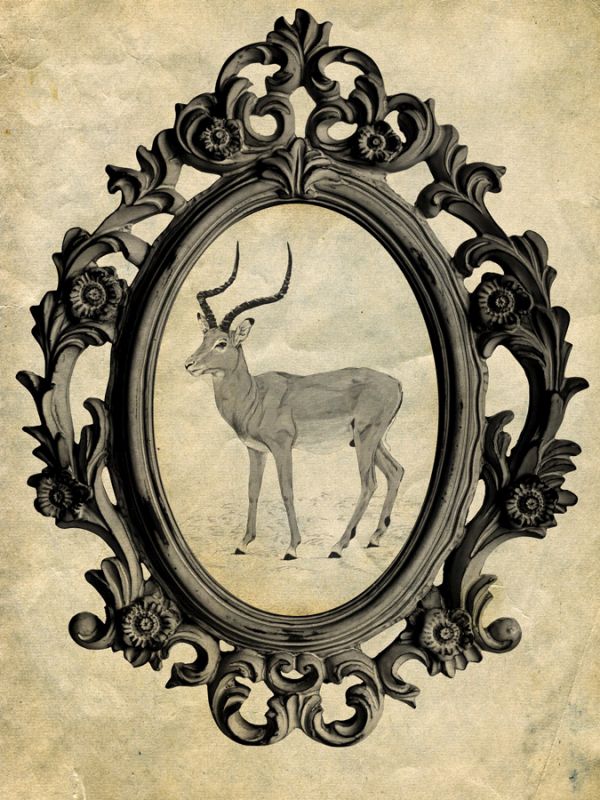 Framed Gazelle