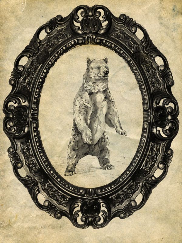 Framed Grizzly Bear