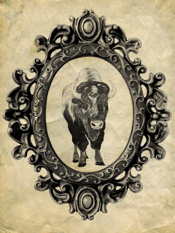 Framed Bison