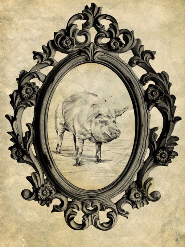 Framed Pig