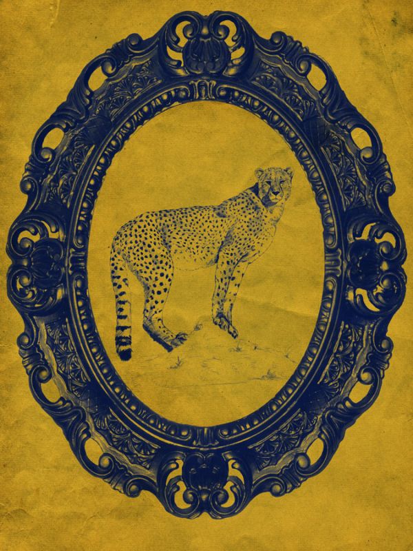 Framed Cheetah in Yellow