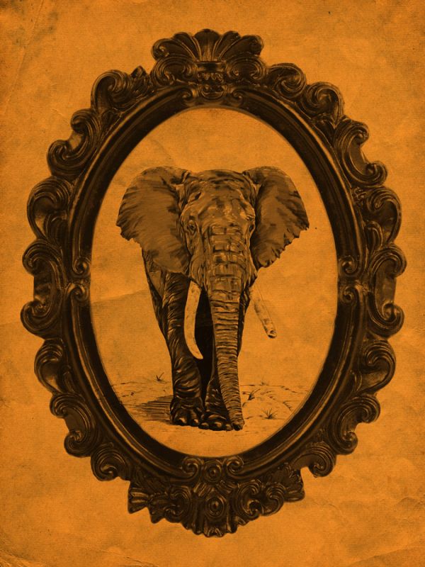 Framed Elephant in Tangerine