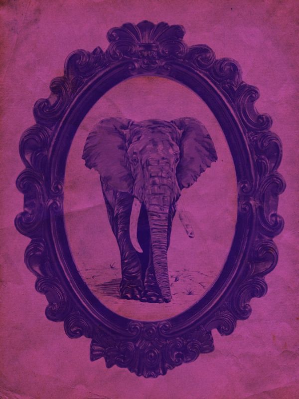Framed Elephant in Violet