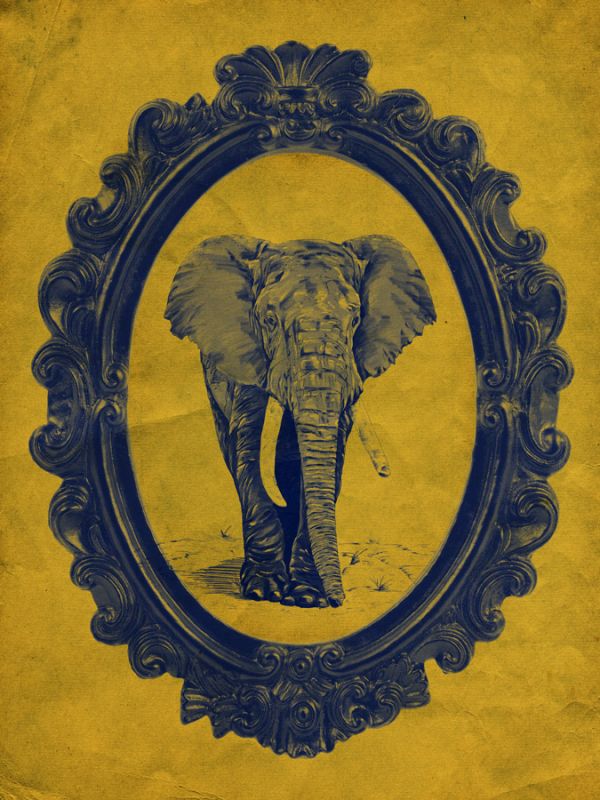 Framed Elephant in Yellow