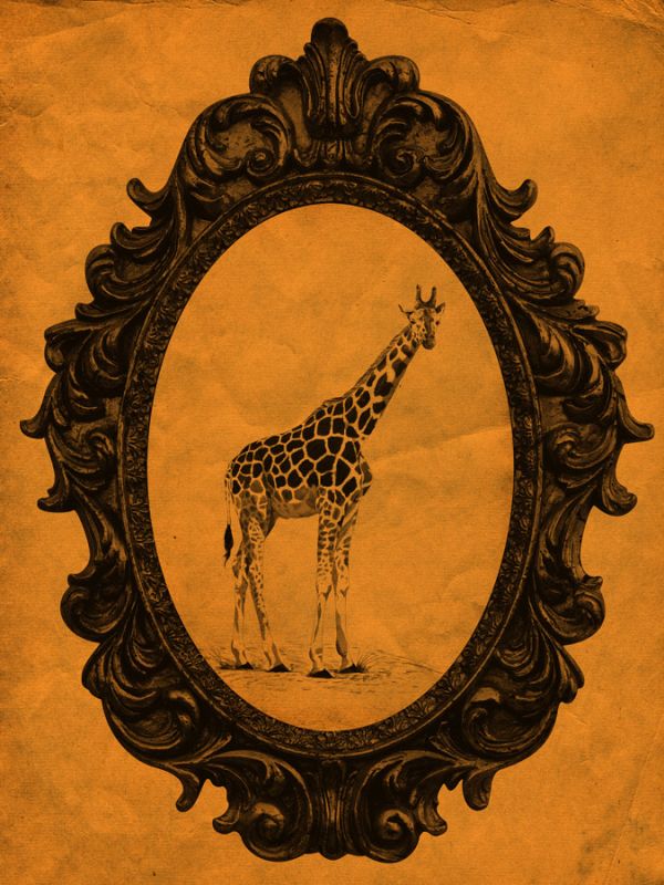 Framed Giraffe in Tangerine