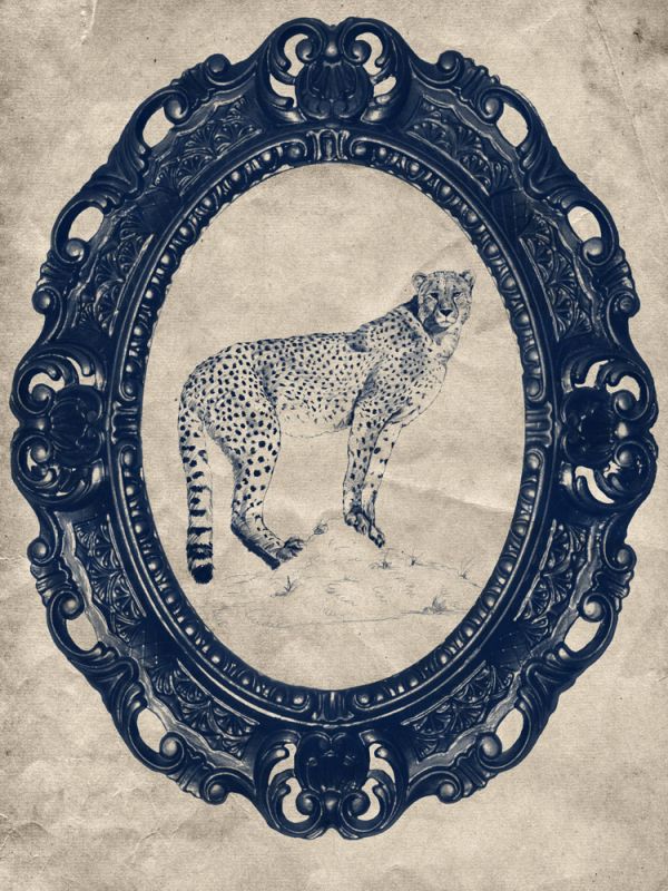 Framed Cheetah in Navy