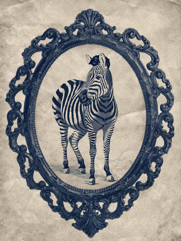 Framed Zebra in Navy