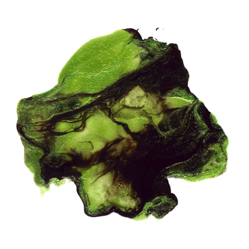 Polished in Moss and Soil