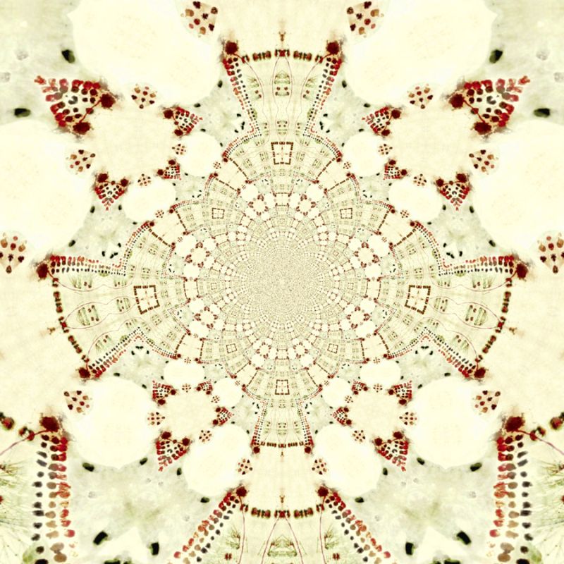 Red Cream 3