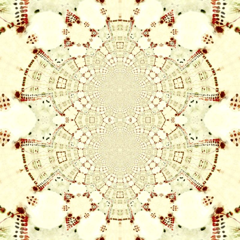 Red Cream 4