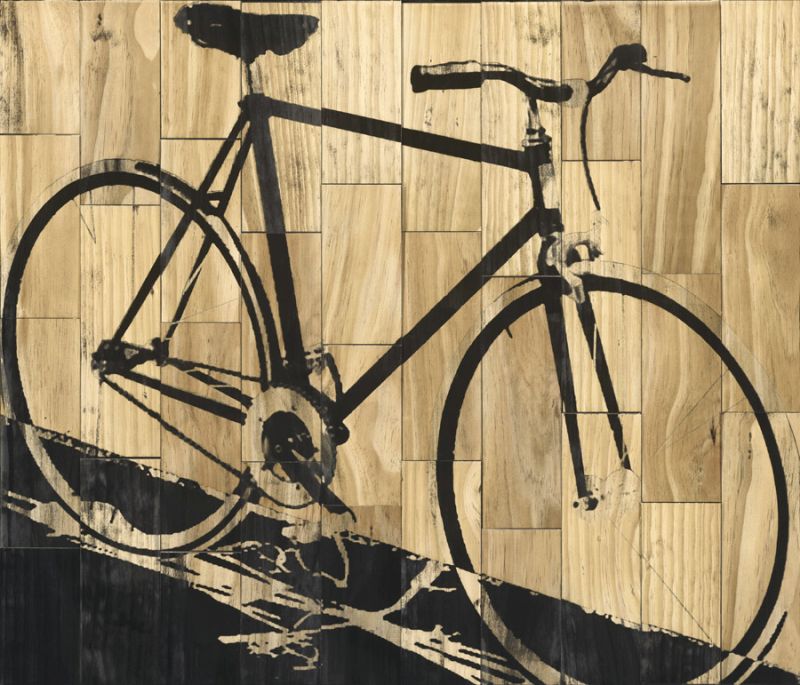 Fixed Gear 2