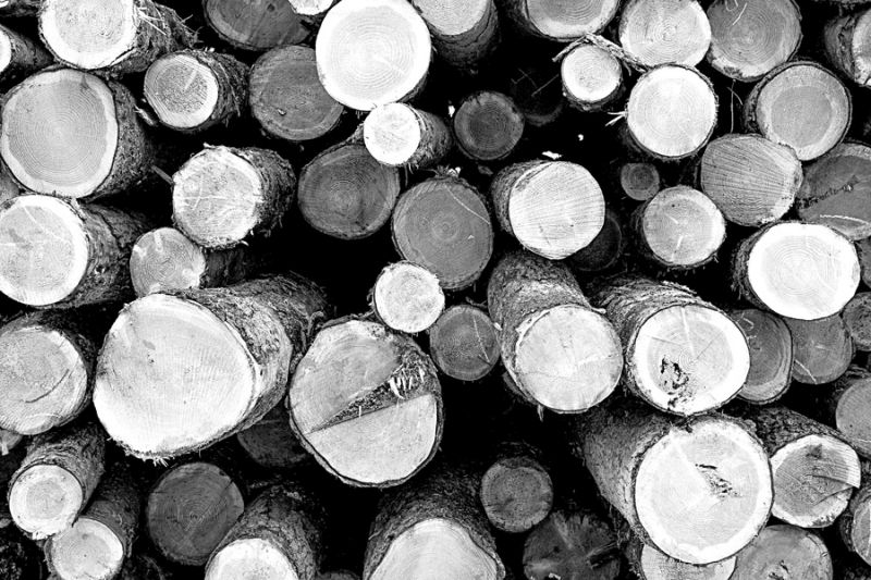 Logging