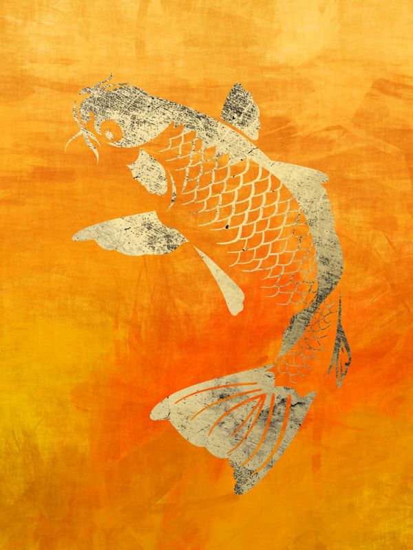 Koi