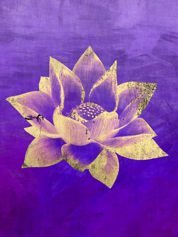 Lotus