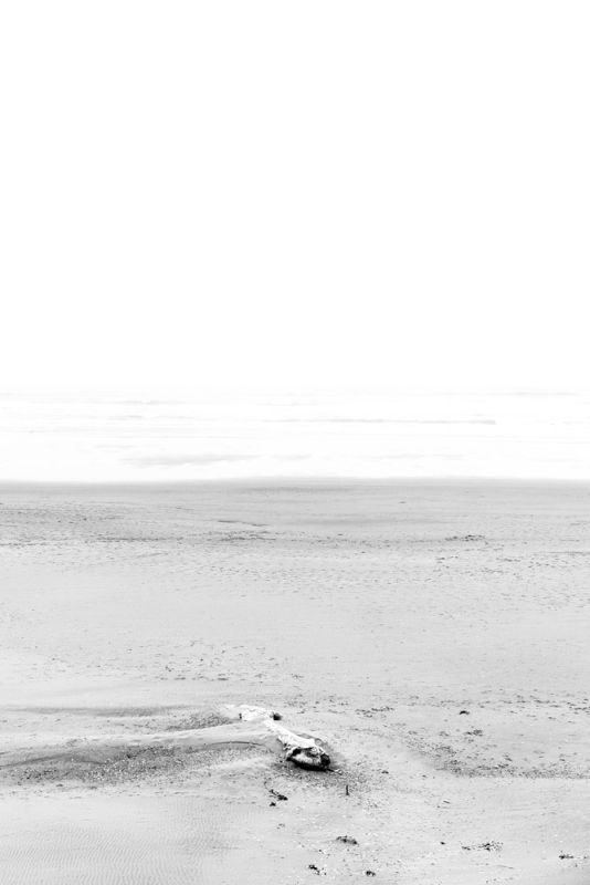 Driftwood Solo