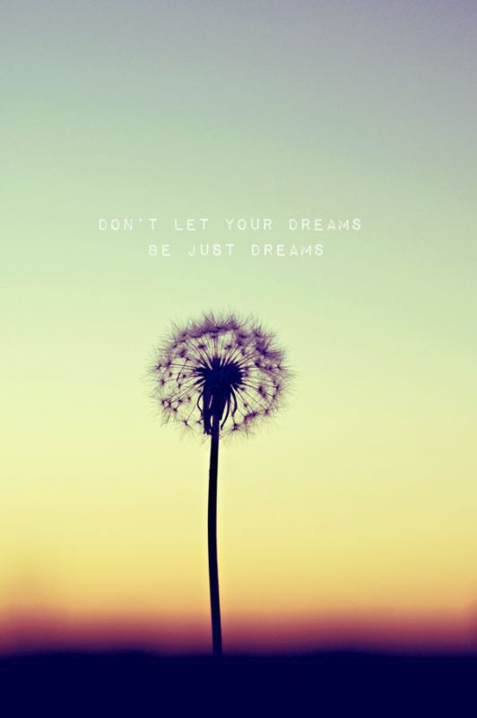 Don't Let your Dreams be Just Dreams