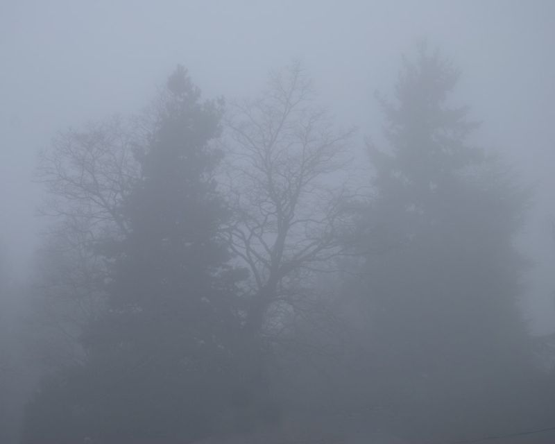 Foggy Morning 2