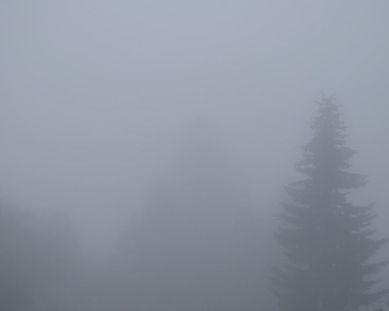 Foggy Morning 4
