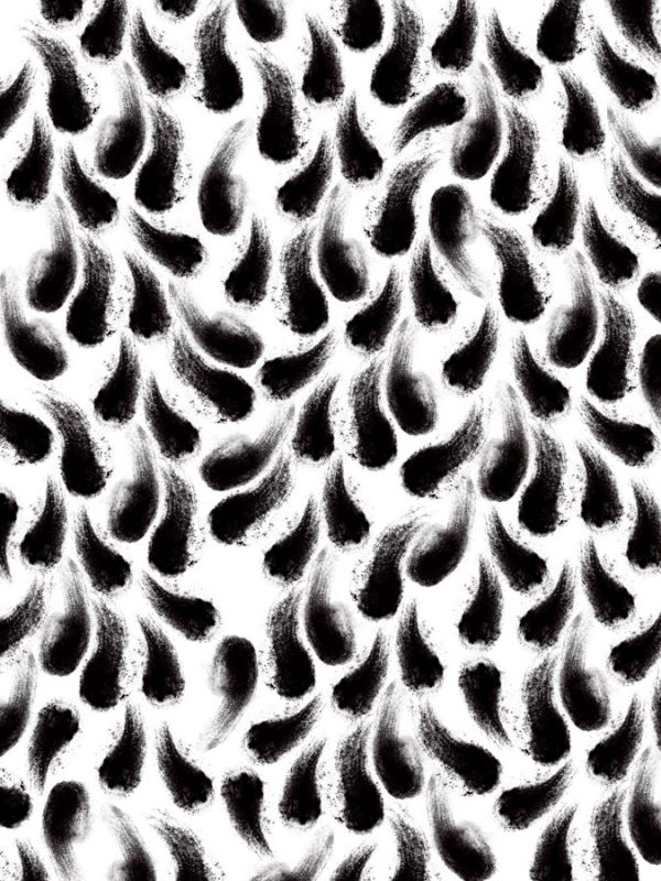 Charcoal Prints A