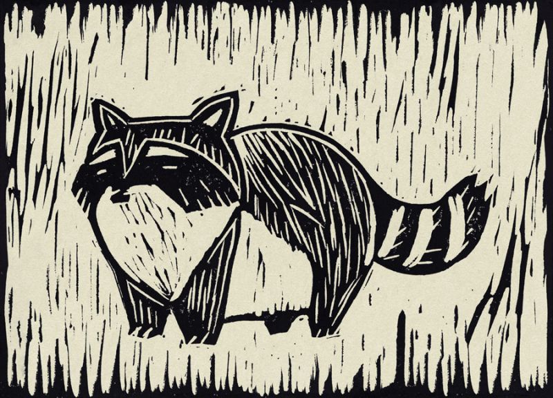Raccoon Linocut