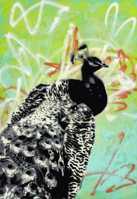 Peacock