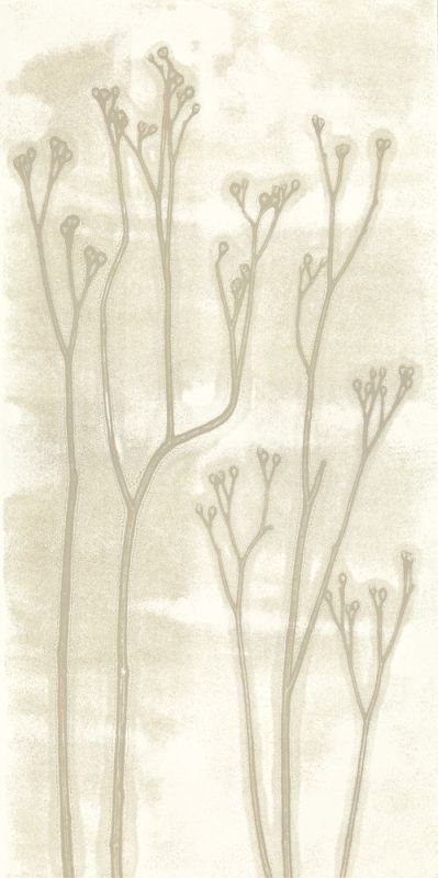 Cocoa Stems 2