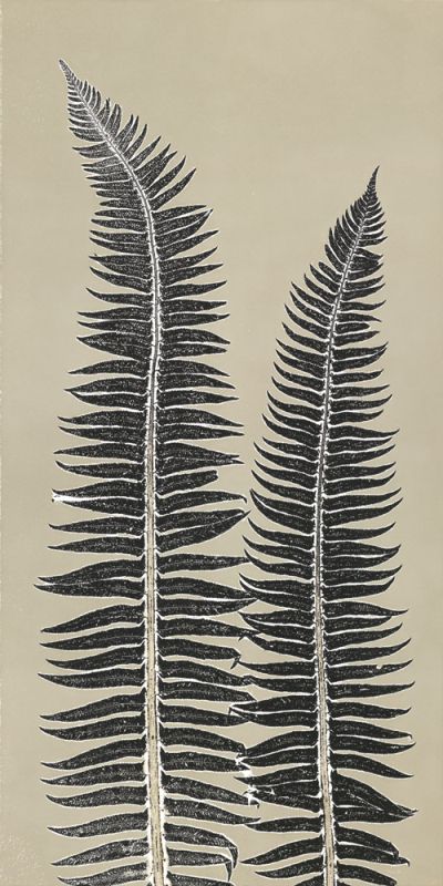 Cocoa Ferns
