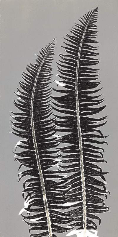 Gray Ferns