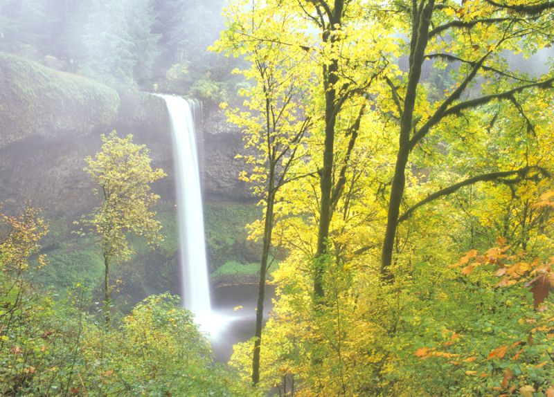 Foggy Falls