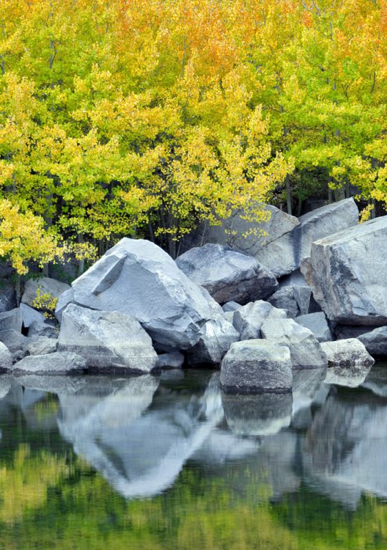 Still Waters