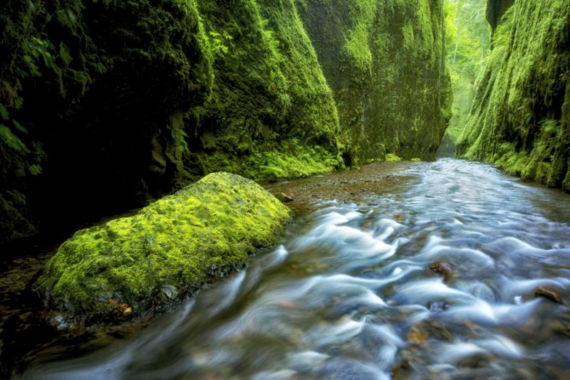 Gorge Green