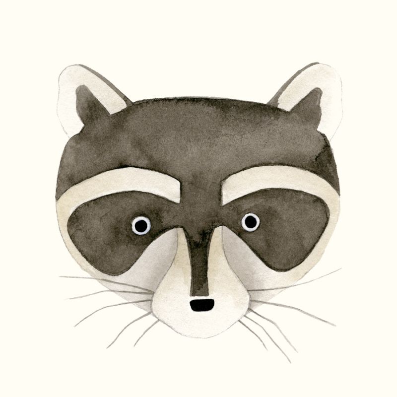 Raccoon Watercolor Face